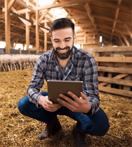 Internet para o Agronegócio